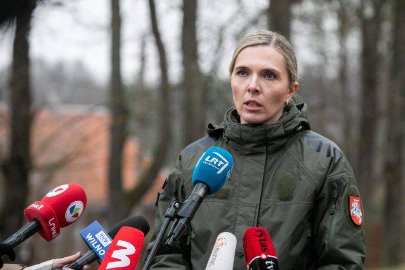 МВД Литвы ужесточает правила въезда иностранцев: потребуются допдокументы