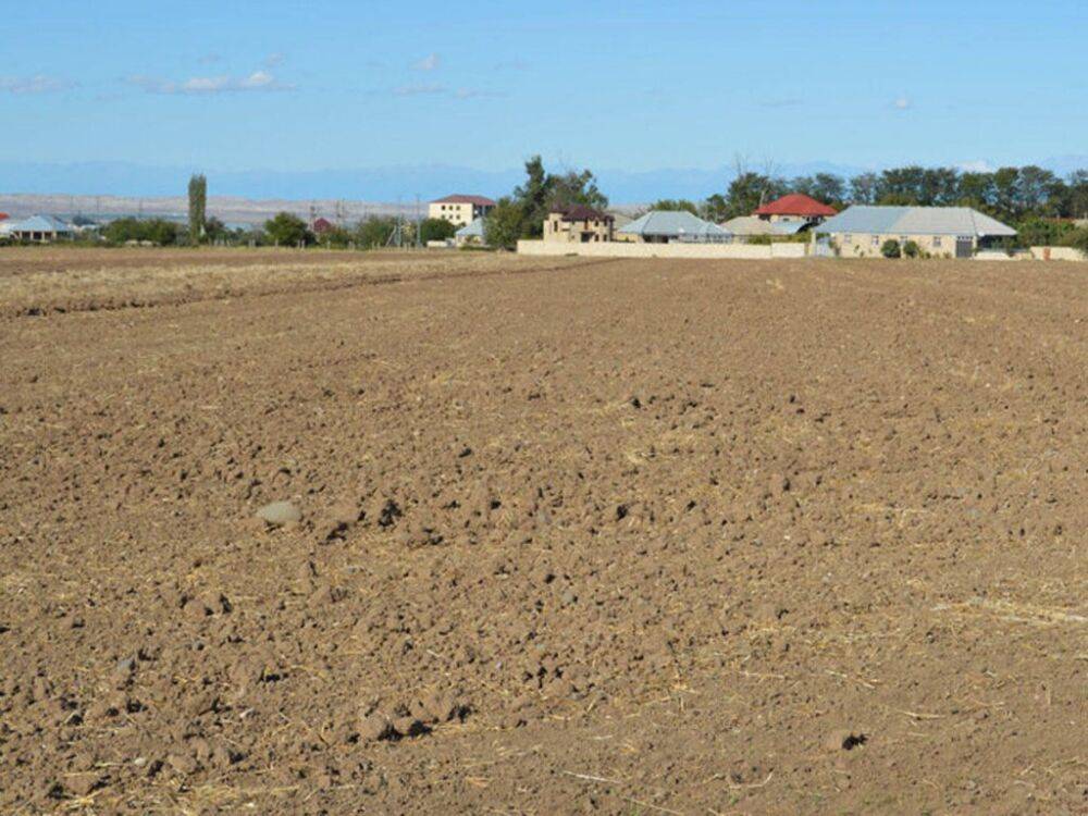 В Узбекистане деградировано более 70% земельных площадей, ежегодные потери составляют 830 млн долларов