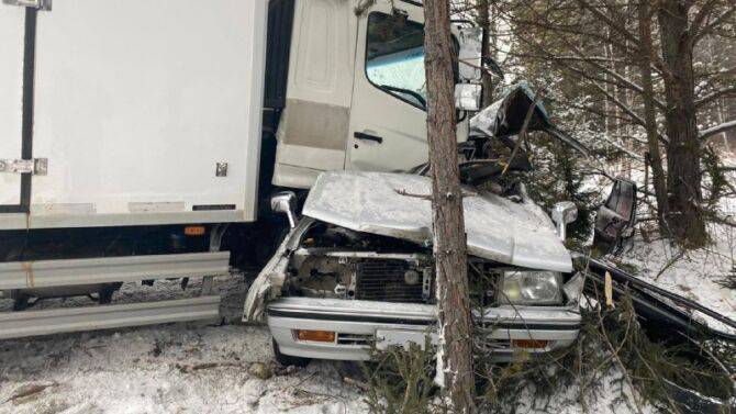 В Красноярском крае «Ниссан» и грузовик столкнулись и съехали в кювет, погиб один человек
