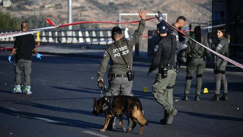 После теракта: десятки иерусалимцев сообщили в полицию о подозрительных предметах