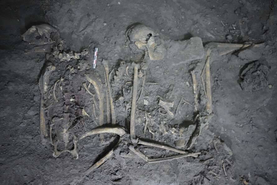 Археологи знайшли у Теотіуакані павукоподібну мавпу віком 1700 років (Фото)