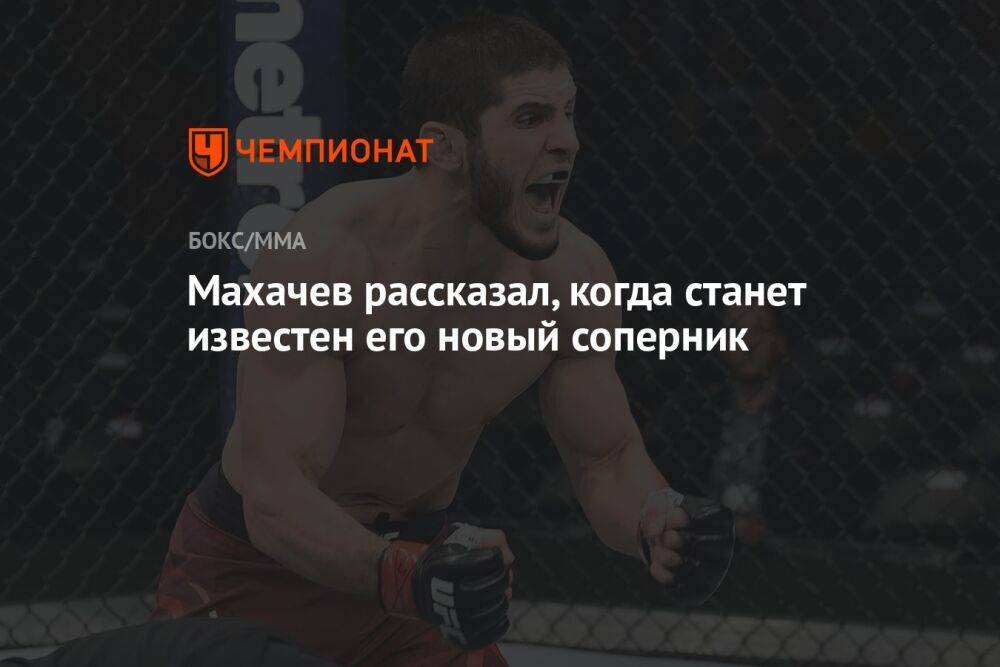 Махачев рассказал, когда станет известен его новый соперник
