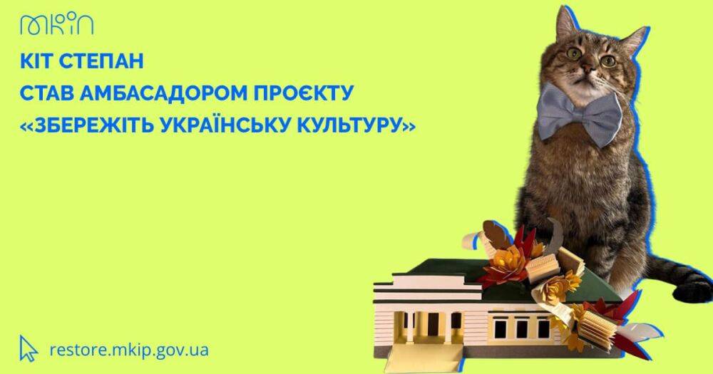 Харьковский кот Степан стал послом проекта «Сохраните украинскую культуру»