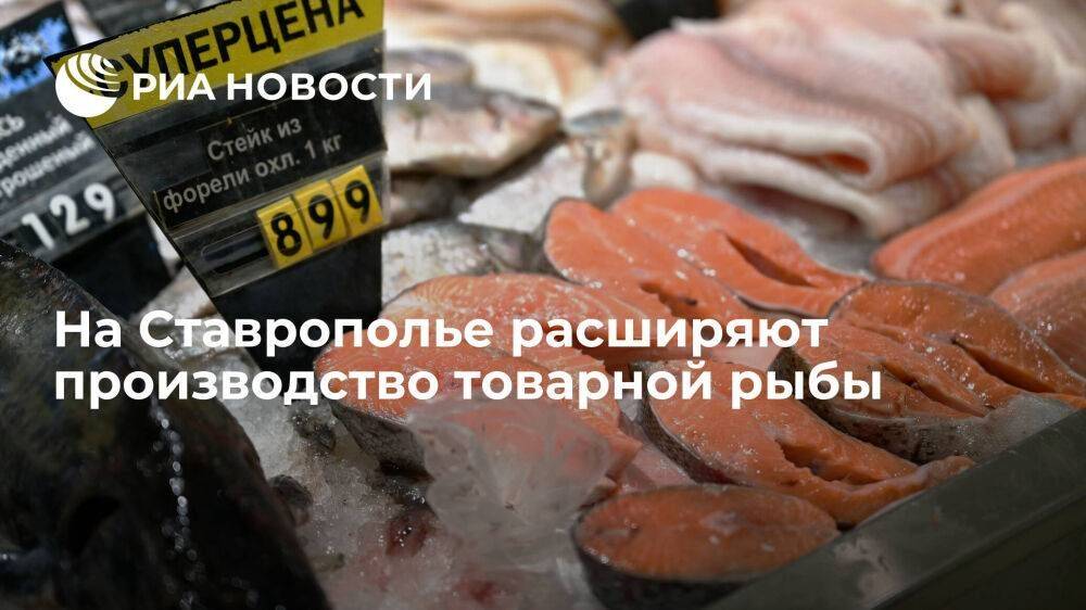 На Ставрополье расширяют производство товарной рыбы