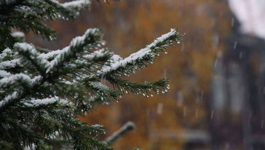 Прогноз погоди до Нового року уточнили синоптики – чи чекати морозів та снігу до свят
