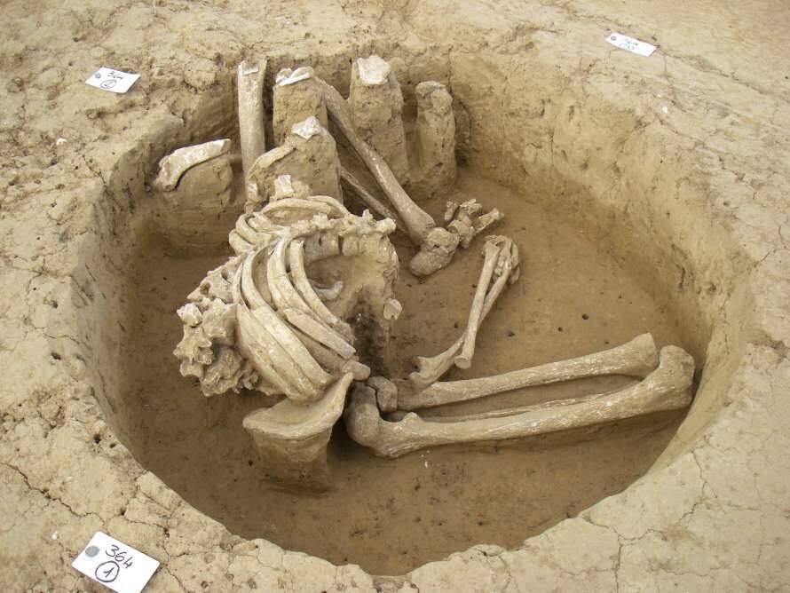 У Франції знайдено поховання, що проливають нове світло на релігійні звичаї бельгійської Галлії (Фото)