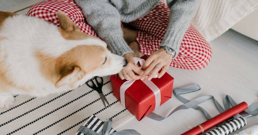 Сделай сам: 6 идей для самодельных экологичных рождественских подарков