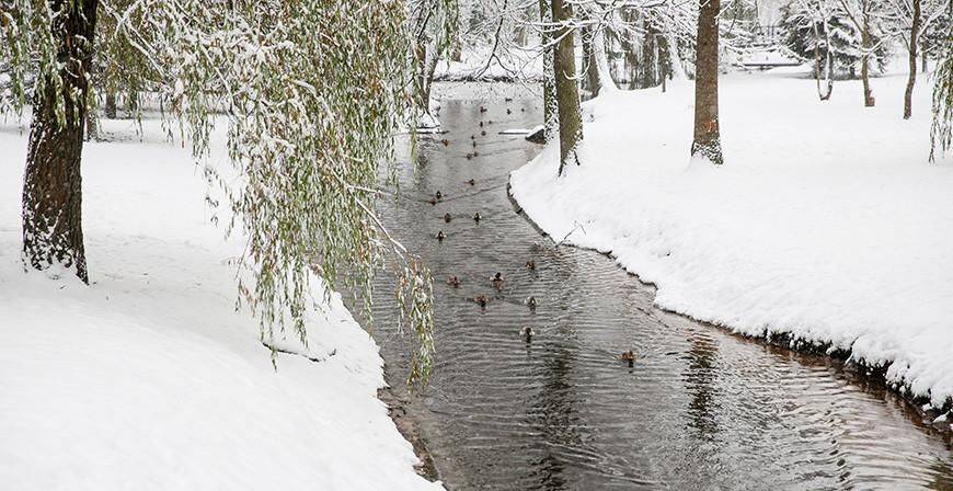 Мокрый снег, гололед и до +6°С. Погода в Беларуси с 20 по 25 декабря