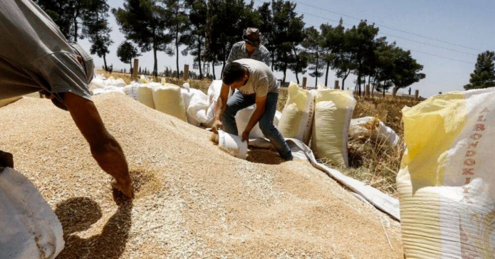 Сирия почти в 20 раз увеличила вывоз пшеницы из Крыма: СМИ узнали, как крадут украинское зерно