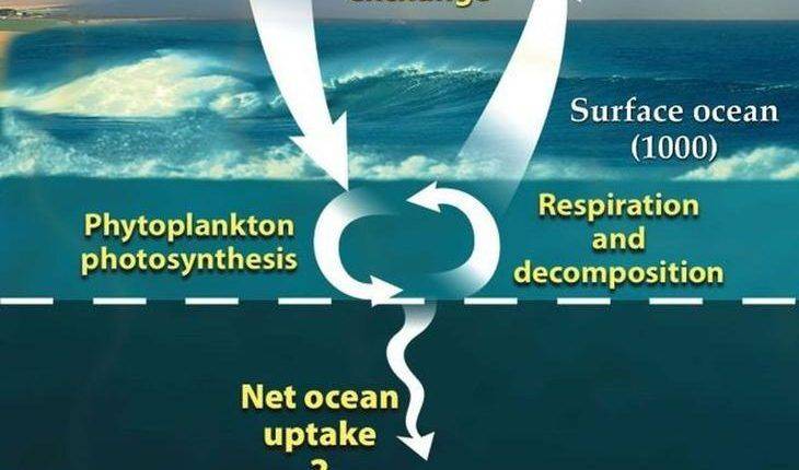 10 странных фактов, связанных с глубинами океана