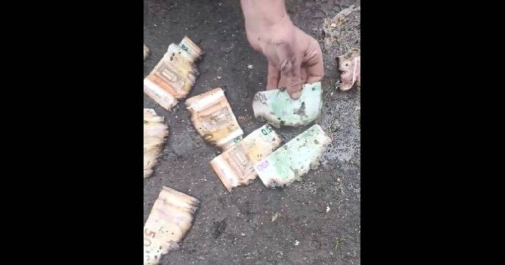 В Тернопольской области в канализации нашли тысячи евро: деньги настоящие (видео)