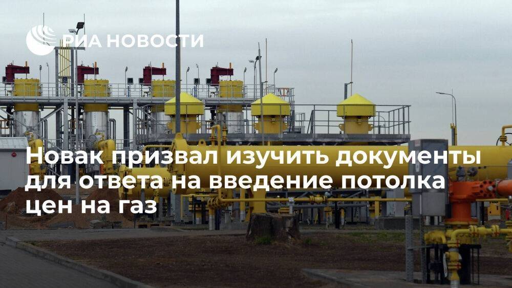 Новак: ответ России по потолку цен на газ возможен после изучения юридических документов