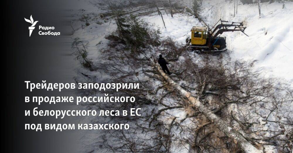 Трейдеров заподозрили в продаже российского и белорусского леса в ЕС под видом казахского