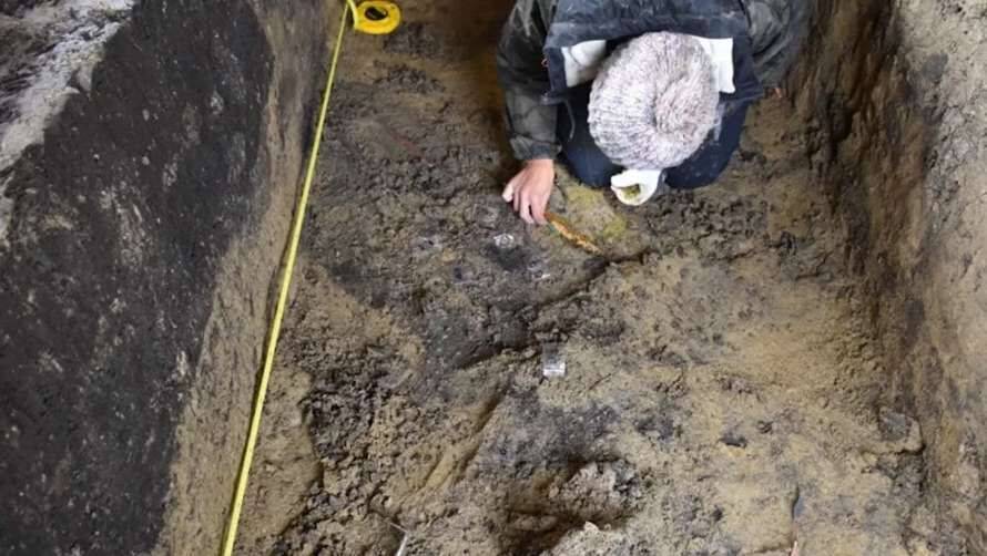 Археологи виявили у Румунії князівську гробницю (Фото)