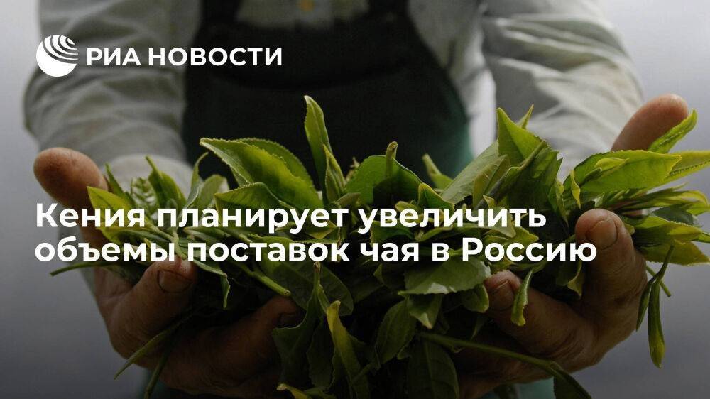 Посол в Москве заявил, что Кения намерена увеличить объемы поставок чая в Россию