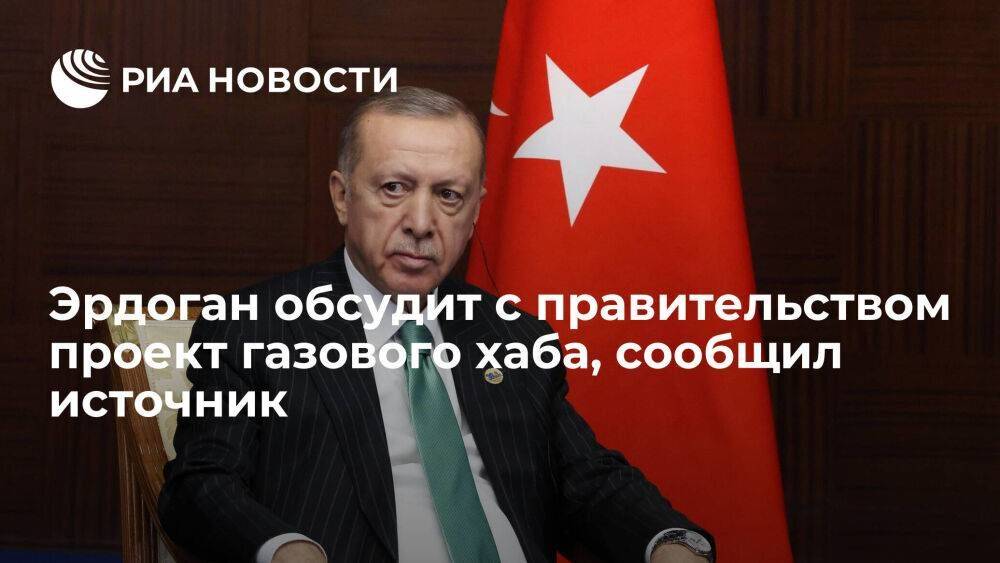 Эрдоган обсудит с правительством Турции проект газового хаба, предложенный Путиным