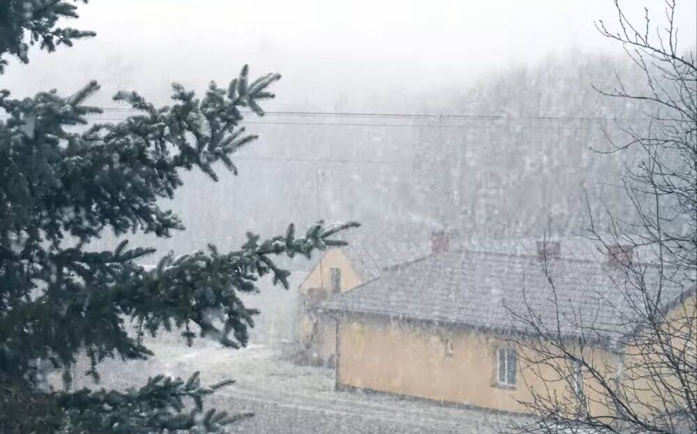 Украину накроет мощный фронт со снегом: синоптик Диденко предостерегла о погоде в среду, 28 декабря
