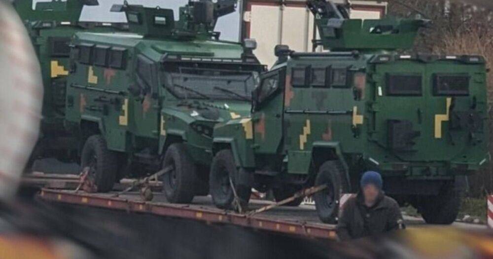 Бойцы ВСУ получат партию броневиков Pantera T6 производства ОАЭ: что о них известно