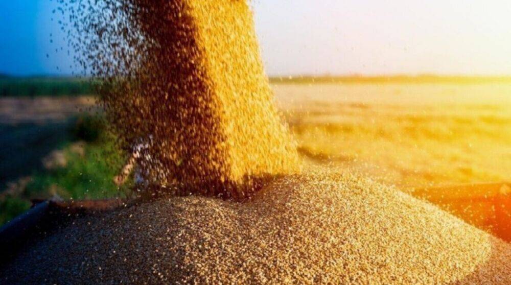 Рф похитила из Украины пшеницы минимум на миллиард долларов – Bloomberg