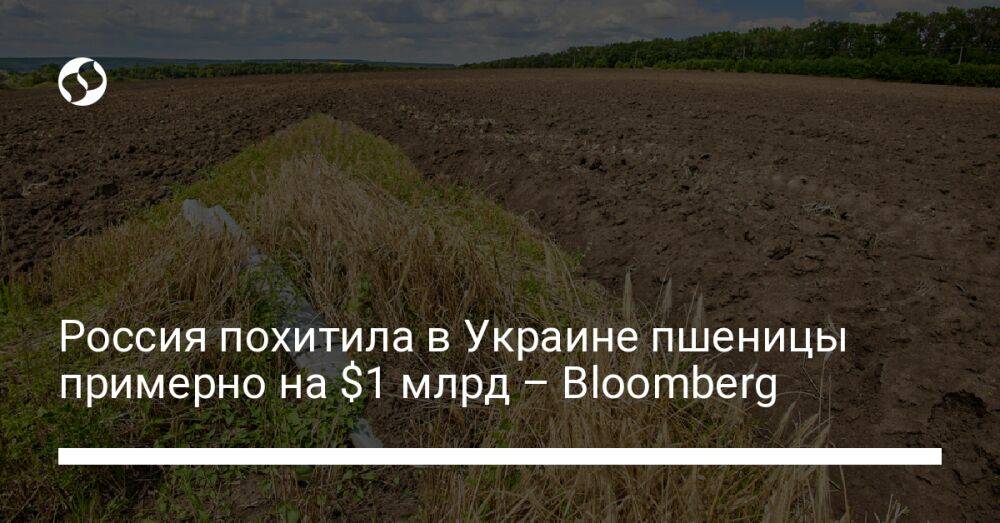 Россия похитила в Украине пшеницы примерно на $1 млрд – Bloomberg