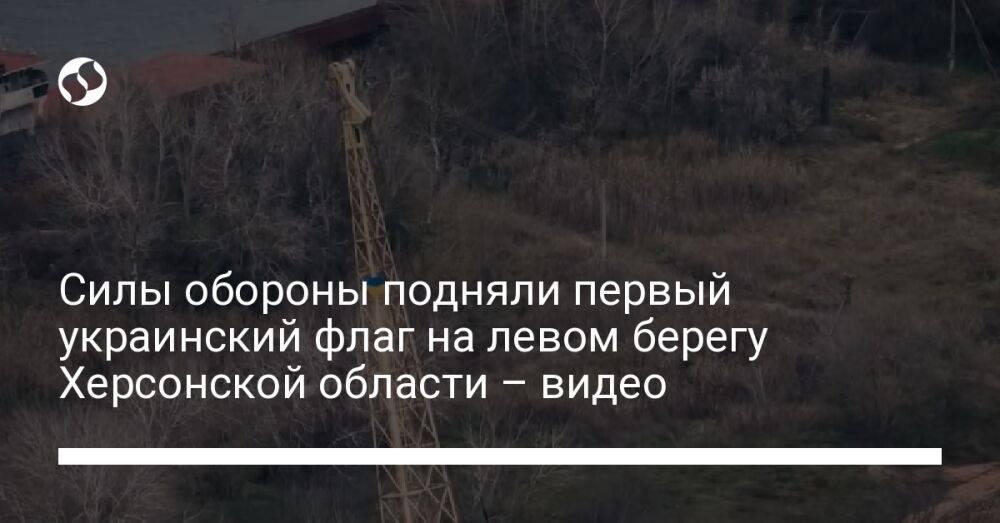 Силы обороны подняли первый украинский флаг на левом берегу Херсонской области – видео