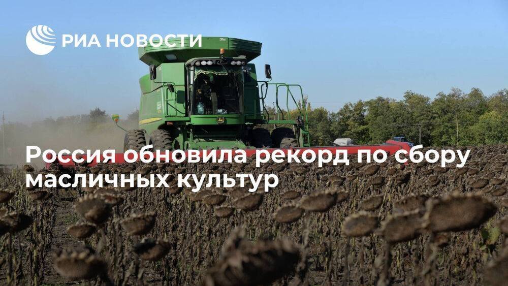 Россия в 2022 году собрала 25,65 миллиона тонн подсолнечника, сои и рапса, обновив рекорд
