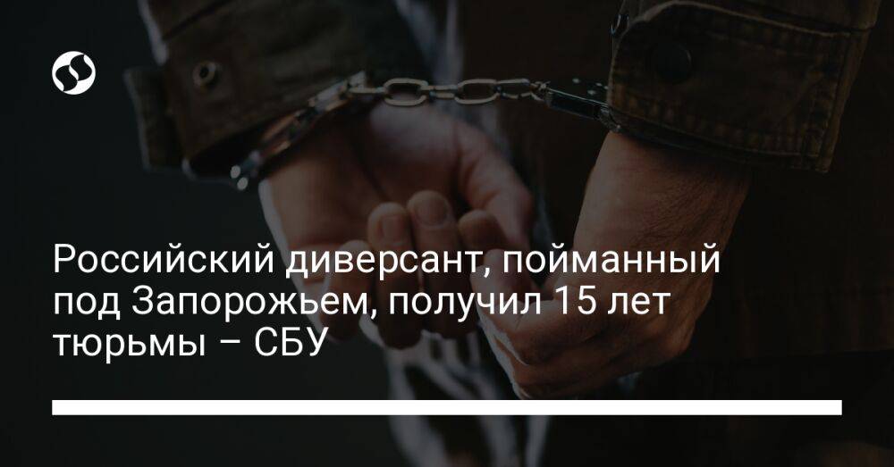 Российский диверсант, пойманный под Запорожьем, получил 15 лет тюрьмы – СБУ