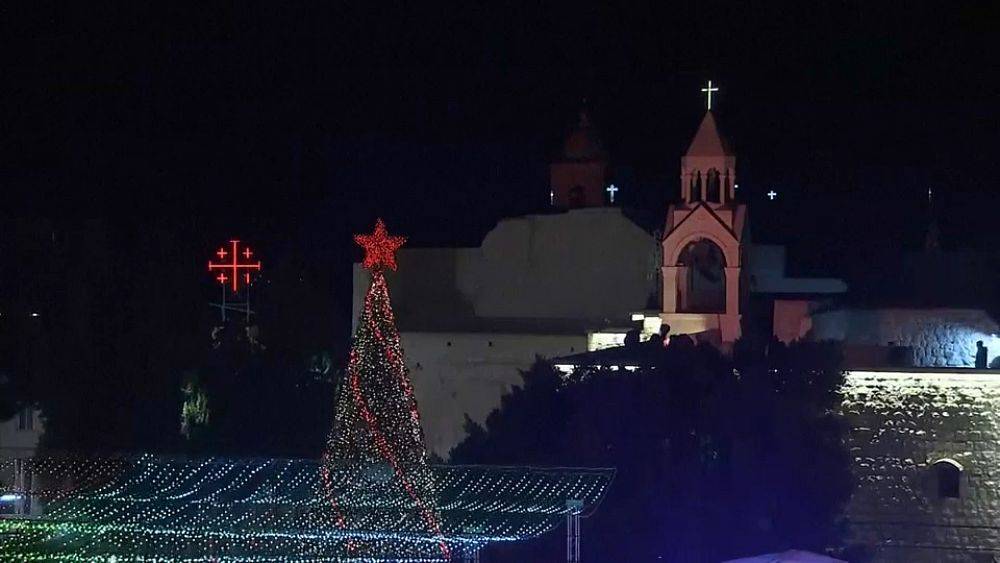 Ватикан: специально к рождеству деревьев не рубили