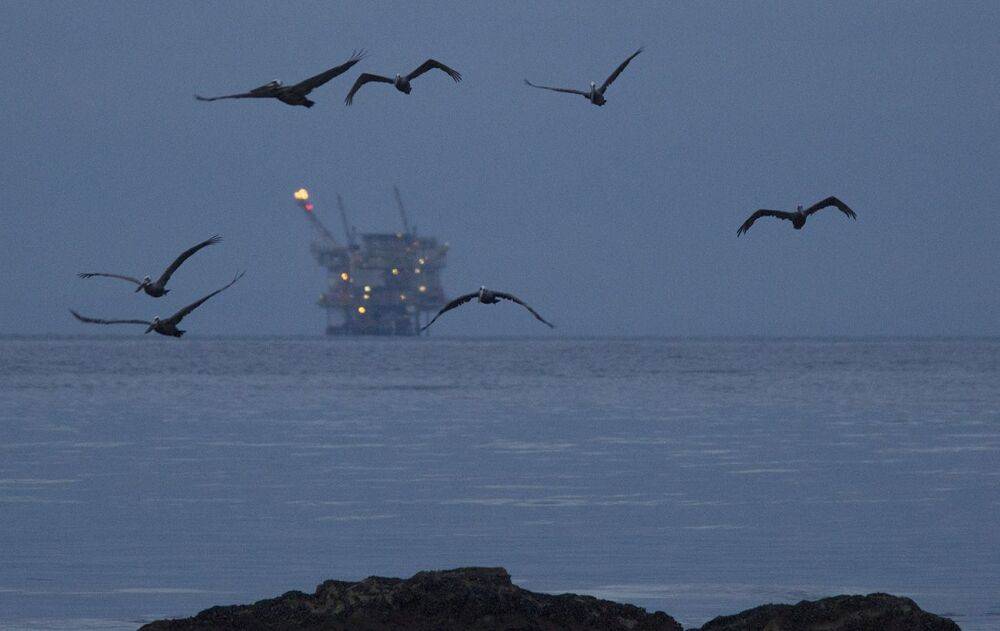 ОПЕК+ погодили обсяги видобутку нафти без скорочення, - Reuters