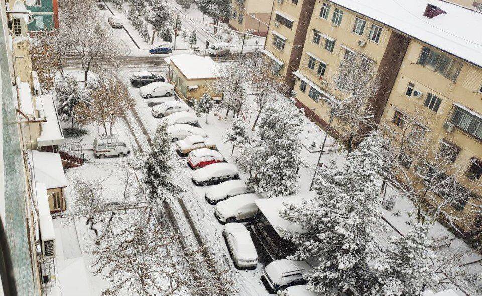 Отсутствие такси, гололед и забитые автобусы. Как Ташкент переживает первые заморозки и снег