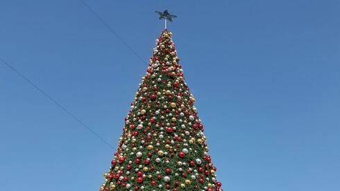 Представитель ШАС в Ришоне потребовал поставить новогоднюю елку в центре города