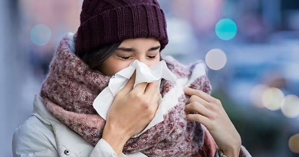 Виноват наш нос. Ученые рассказали, почему мы простужаемся зимой чаще