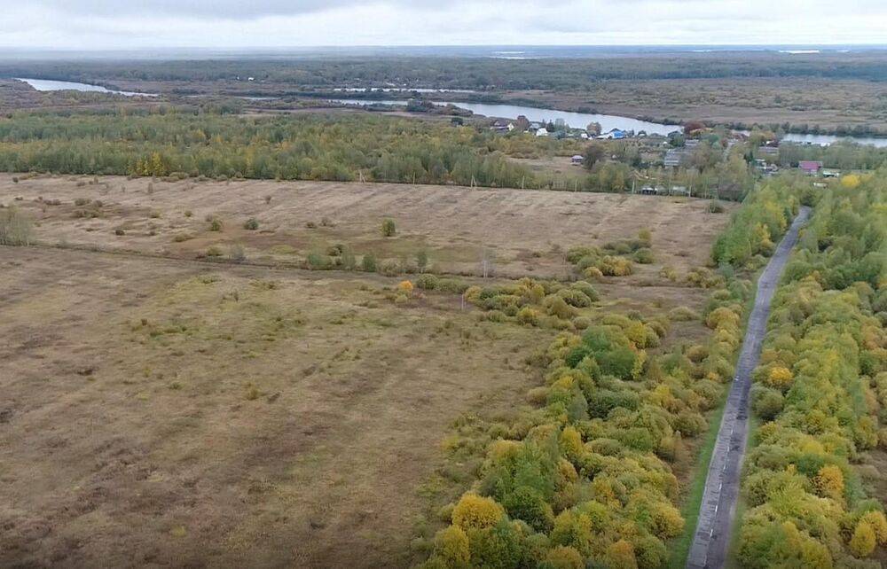 Сотрудники Россельхознадзора выявили три земельных участка сельскохозугодий, не используемые по назначению