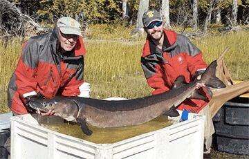 Рыбак из Канзаса поймали очень редкую рыбу-динозавра