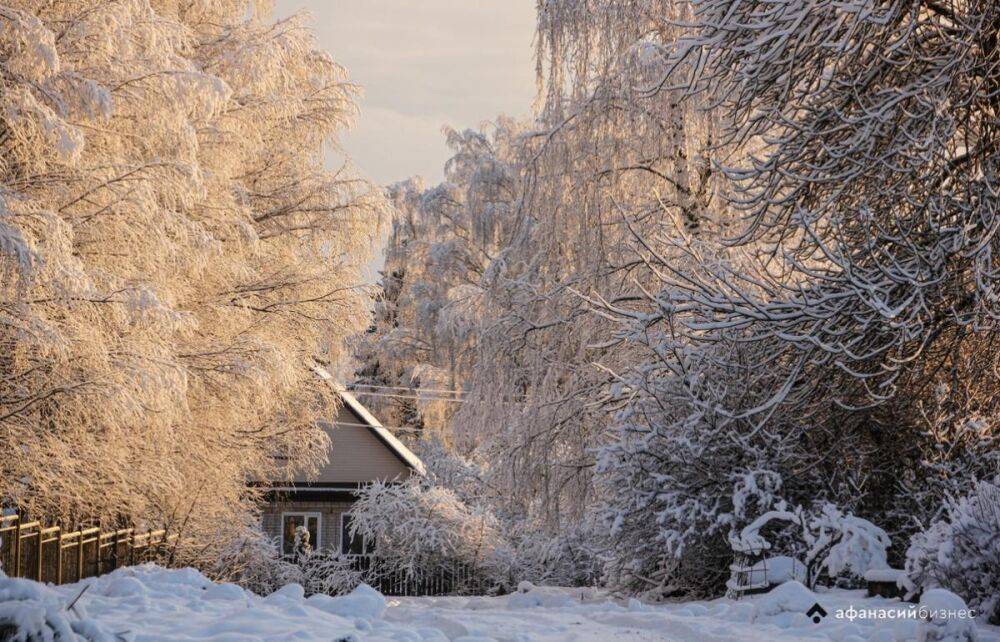 После снегопадов и оттепели в Центральную Россию придут русские морозы