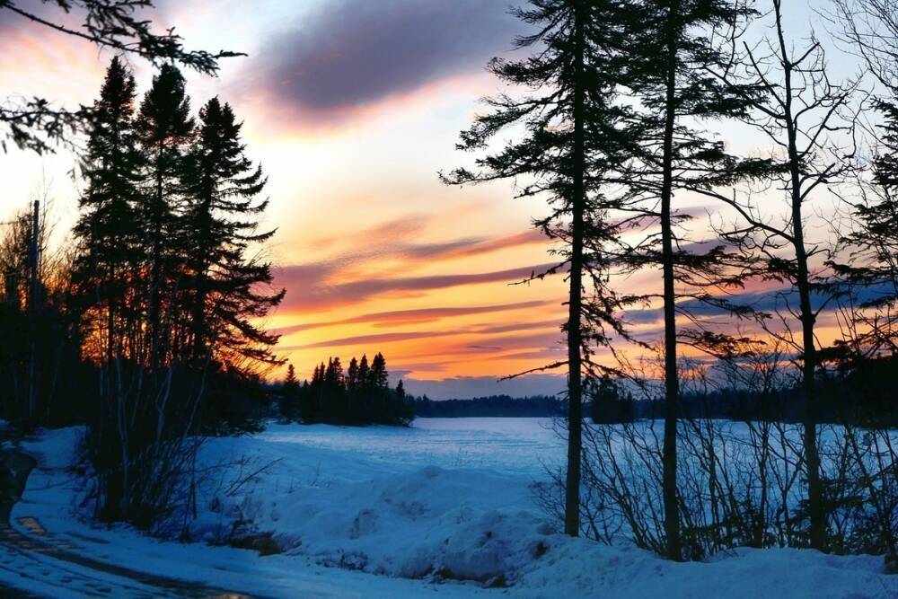 Начало февраля порадует новосибирцев экстремальным потеплением