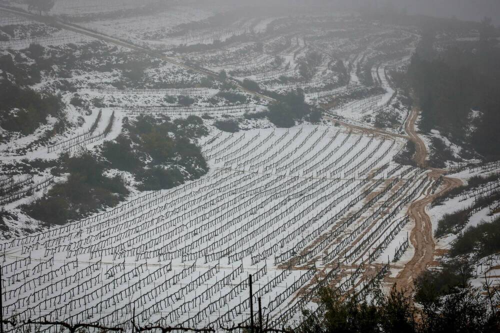 Дожди в Израиле: прогноз погоды до конца недели