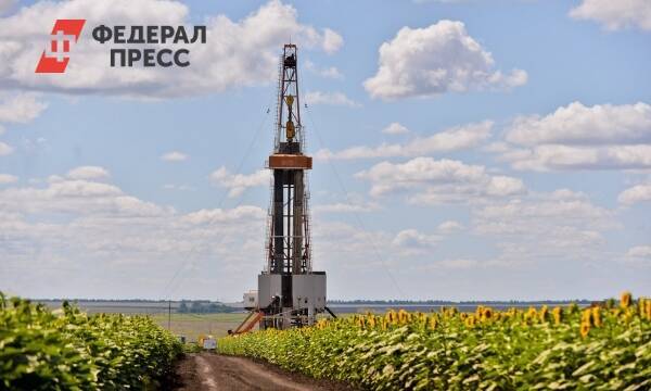 «Роснефть» внесла основной вклад в увеличение добычи в России
