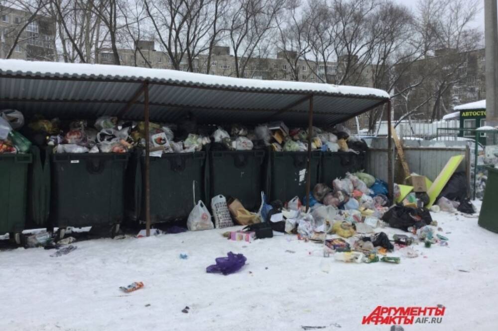 В Комсомольске-на-Амуре управляющие компании наказали за мусор