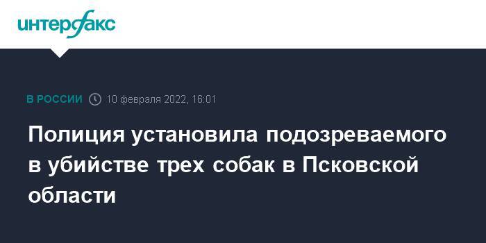 Полиция установила подозреваемого в убийстве трех собак в Псковской области