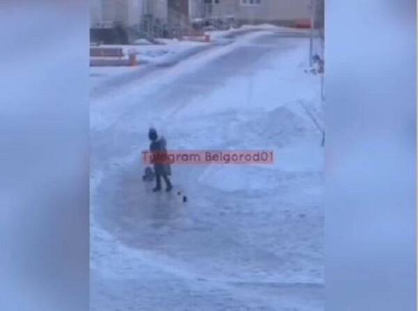 В Белгороде девочка мучила кота на глазах прохожих и попала на видео