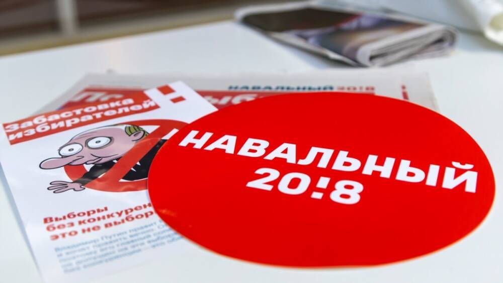 Против псковского депутата возбудили дело из‑за картинок "Навальный 20!8"