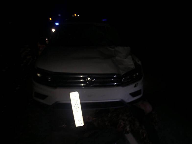 На трассе Ростов-Ставрополь в Зерноградском районе кроссовер насмерть сбил пешехода