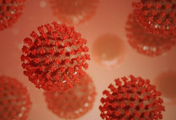 Минздрав одобрил испытания кожного теста на клеточный иммунитет к COVID-19