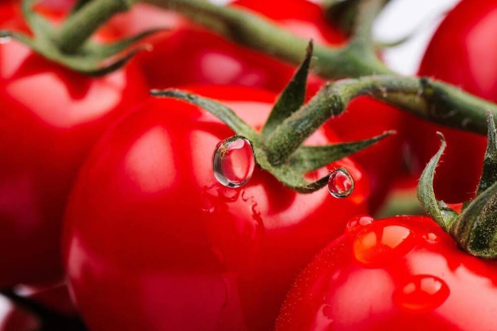О неожиданной опасности помидоров рассказали россиянам
