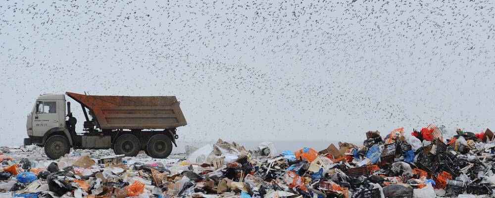 В Новосибирской области планируют построить четыре мусорных полигона