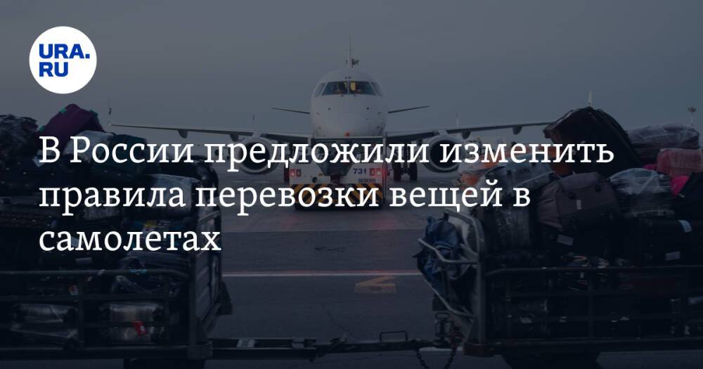 В России предложили изменить правила перевозки вещей в самолетах