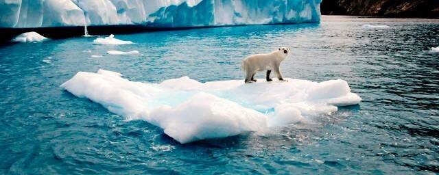 Эколог Коробов призвал беречь экологию Арктики