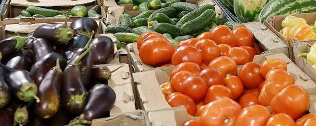 В России с начала года производство тепличных овощей увеличилось на 2,6%