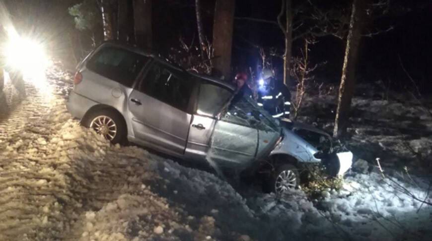 В Жлобинском районе минивэн врезался в дерево: водитель погиб